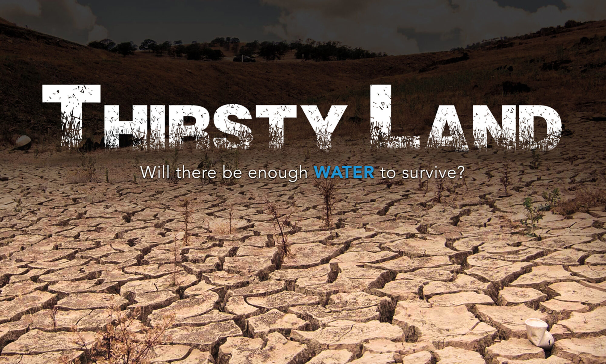 Thirsty Land